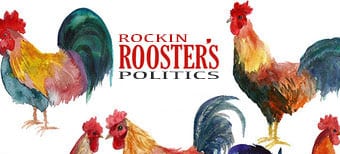 Rockin rooster msnbc live stream new arrivals