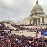 rockin rooster msnbc