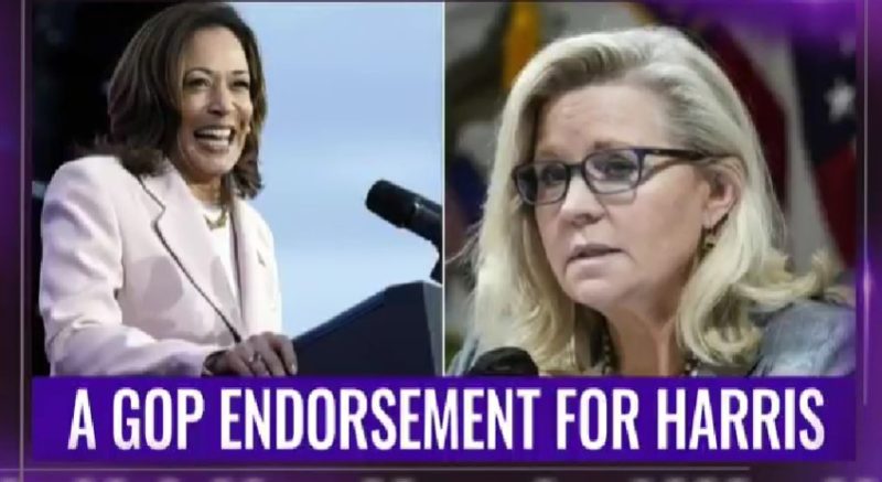 Liz-Cheney-to-vote-for-Harris