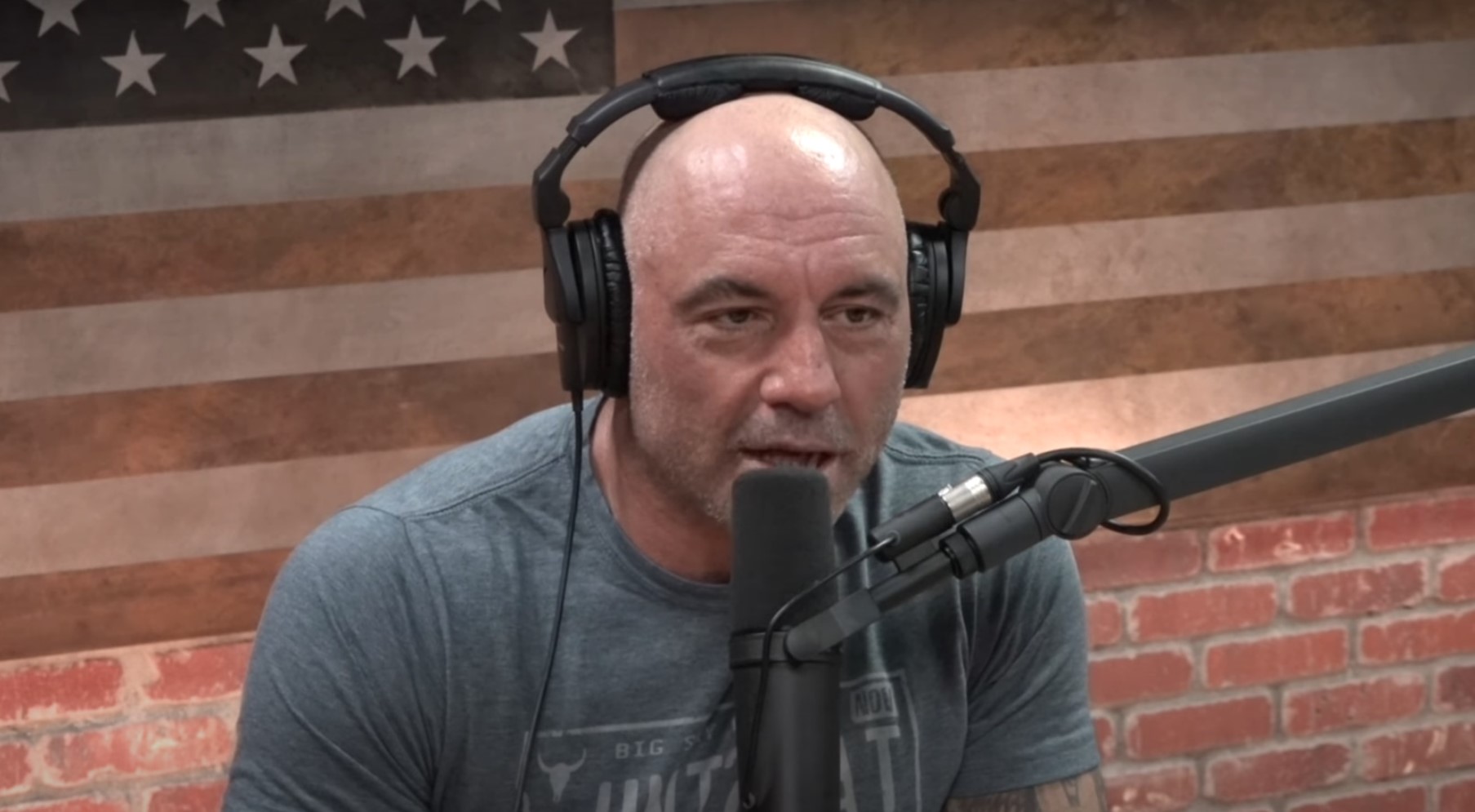 kamala harris on the joe rogan experience and fox