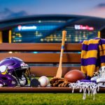 vikings minn