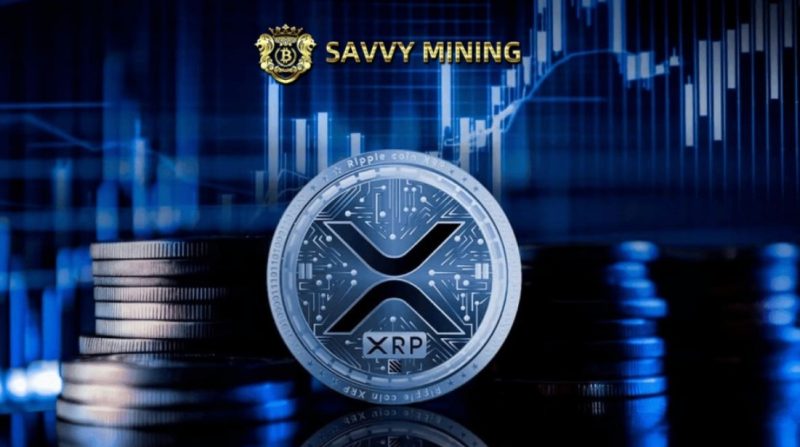 savvyminding