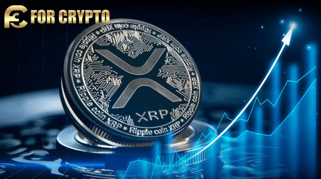 for crypto mining