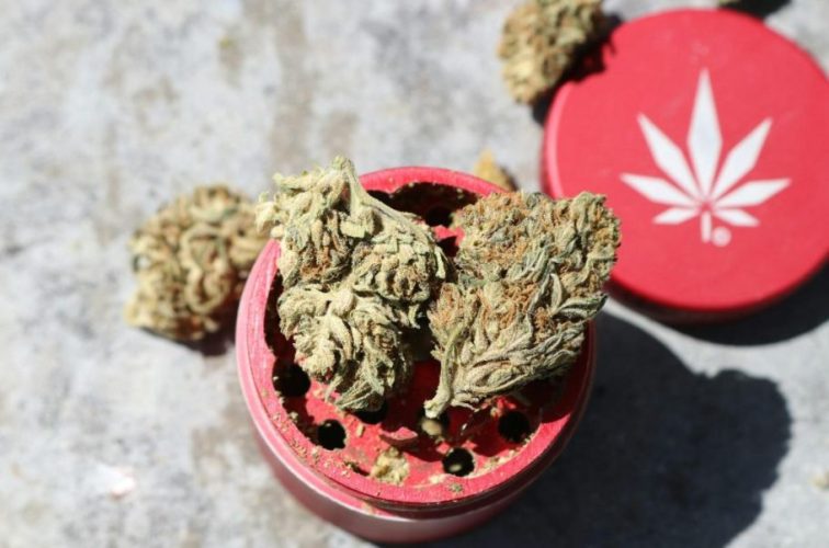 Why Shopzaza’s Lemon Cherry Gelato Is Gaining Popularity in the Cannabis World