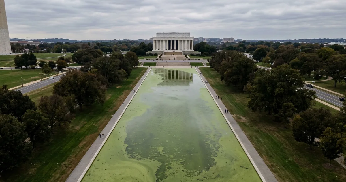 Aerial view of the Lincoln Memorial Reflecting Pool filled with green algae-covered water
