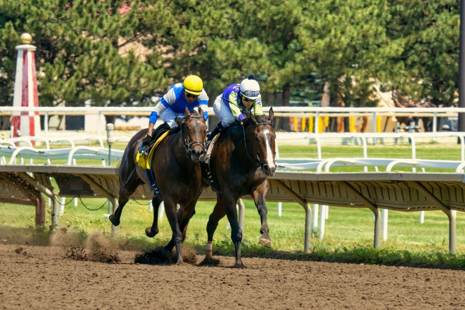 Riders on horseback at a racetrack